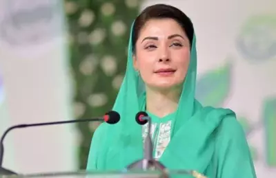 Punjab CM Directs Removal of Hazardous Power Lines to Prevent Accidents