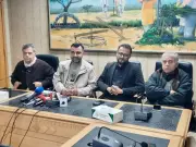 Hamza's PSL Bid: Qalandars Fan Pledges to Promote Pakistan Cricket