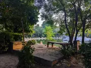 Islamabad's Green Belt Under Siege: CDA's Development Drive Sparks Public Outcry