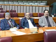 NA Unanimously Demands Probe Into Passenger Offloading at Airports