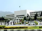 National Assembly Committee Debates Migrant Rights and Protection Framework