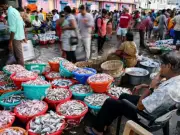 Pakistan's First Fishing Technology Museum Opens in Karachi