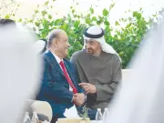 President Zardari, UAE Counterpart Discuss Deepening Strategic Ties in Abu Dhabi Summit