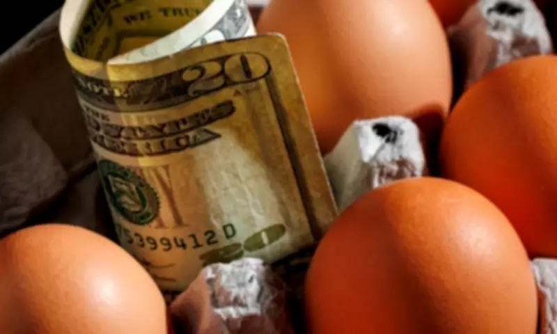 Americans Spend Less on Food Than Ever, Yet Feel Strapped: The Paradox Explained