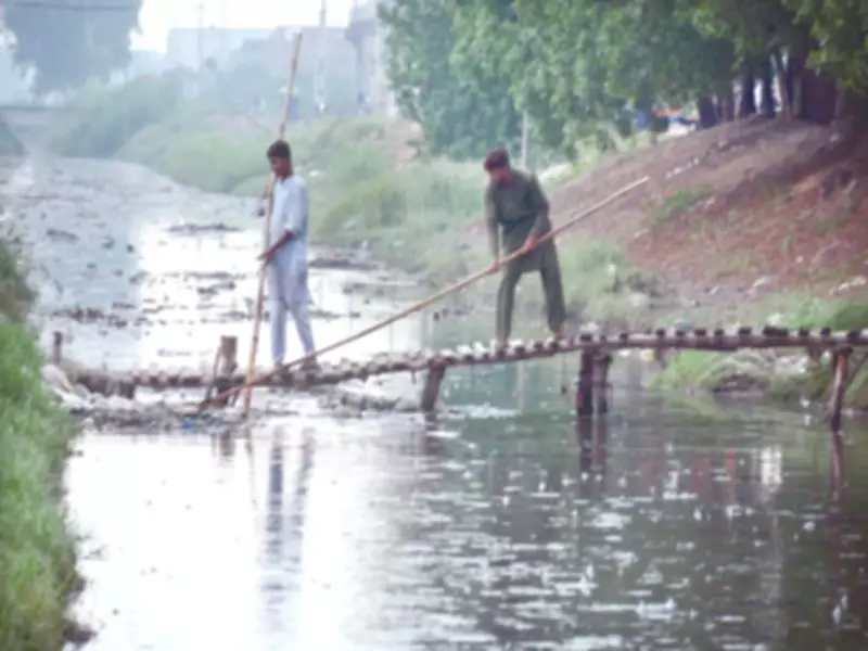Faisalabad Division Launches Emergency Drive to Eliminate Sewage Ponds