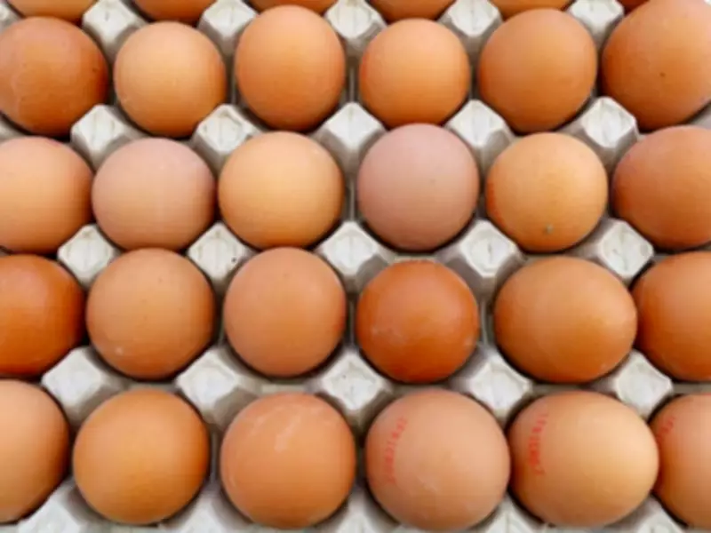 France Sets Egg Consumption Record in 2025, Driven by Economic Factors