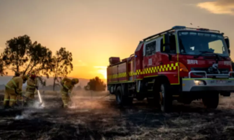 Global Wildfire Synchronization Doubles in 50 Years, Climate Change Drives Half the Increase