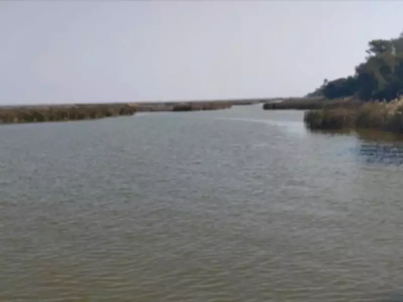 Haleji Lake's Ecological Crisis Deepens on World Wetlands Day