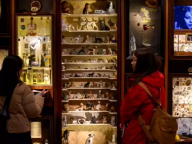 Istanbul's Museum of Innocence Sees Surge in Visitors Ahead of TV Series