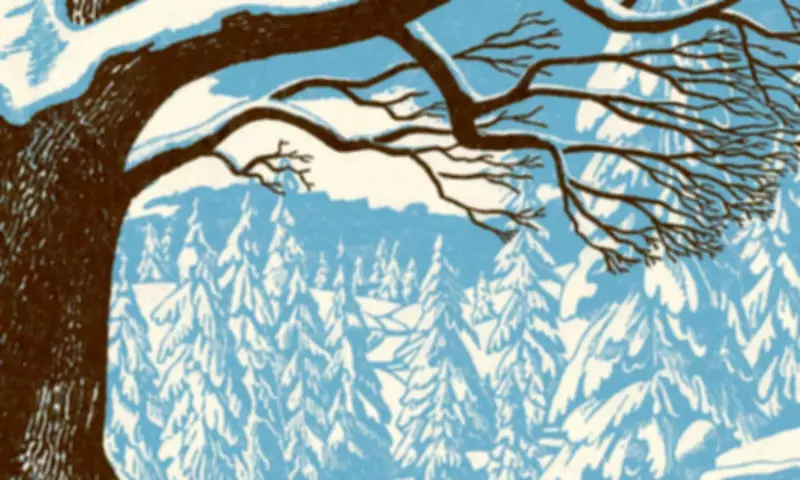 Mastering Winter: A Guide to Training Yourself to Enjoy the Cold Season