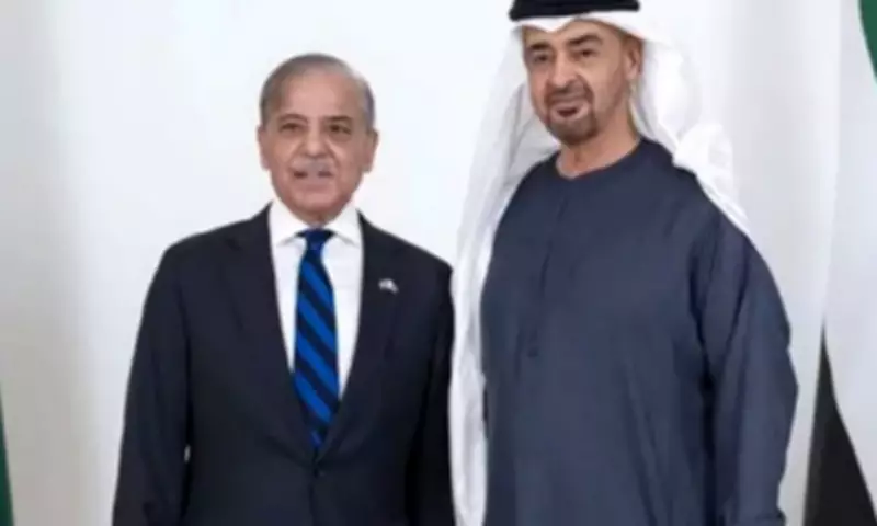 PM Shehbaz and UAE President Reaffirm Commitment to Strengthen Bilateral Ties