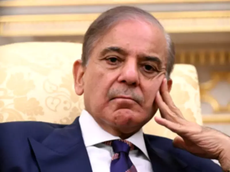 PM Shehbaz Sharif Postpones Russia Visit Amid Regional Tensions