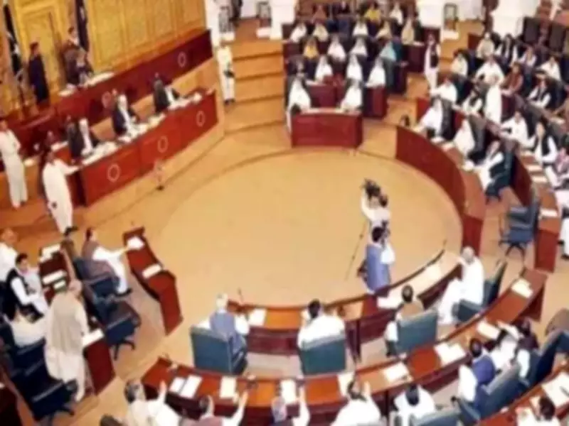 PTI Faces Internal Rift Over Hazara Province Resolution Proposal