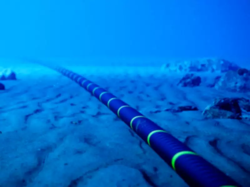 UAE-Iraq Consortium Launches $700M WorldLink Data Cable to Turkey