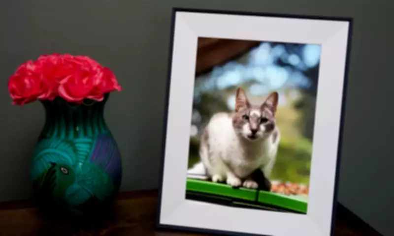 Valentine's Day Tech Gift Guide: 20 Verge-Approved Deals on Gadgets