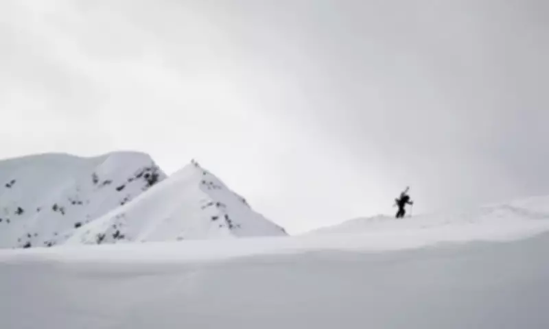 Winter Sport of Skijoring Gains Momentum with New Technology and Events