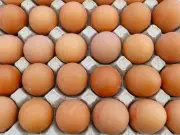 France Sets Egg Consumption Record in 2025, Driven by Economic Factors