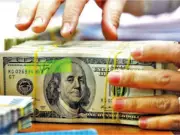 Pakistan's FDI Crisis: Why Foreign Investment Flees Without Strong Domestic Base