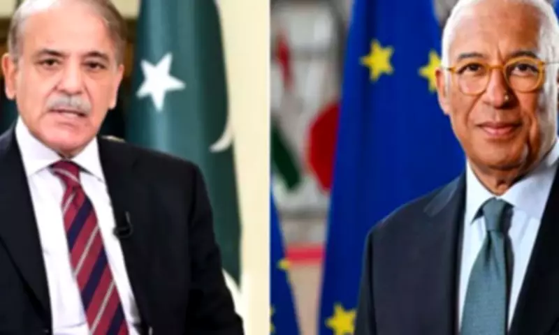 European Council President Praises Pakistan's Mediation in Middle East Ceasefire Talks