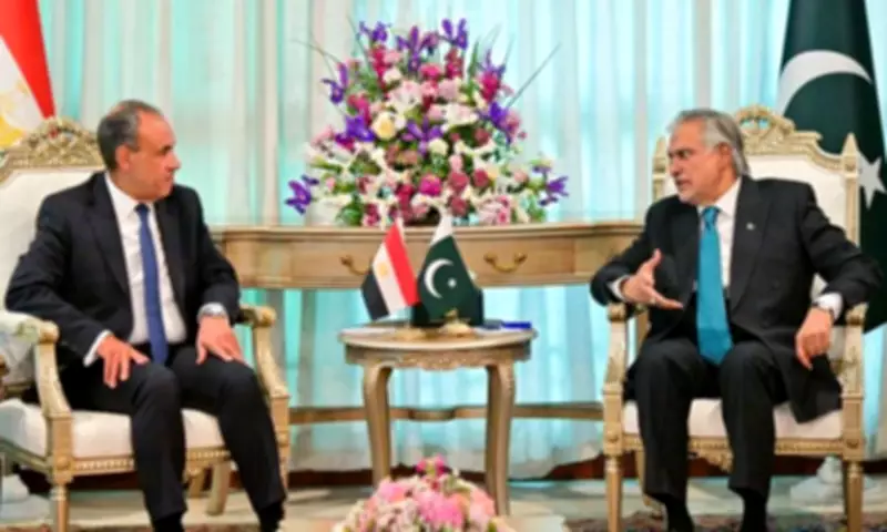 Ishaq Dar and Egyptian FM Discuss Middle East, Urge De-escalation and Diplomacy