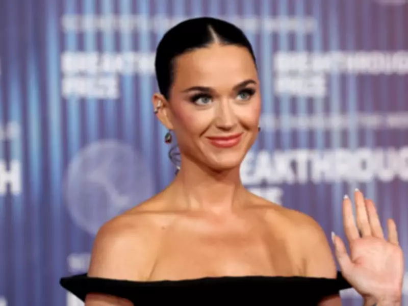 Katy Perry Faces Backlash Over Brief Reply to Struggling Fan's Financial Distress Post