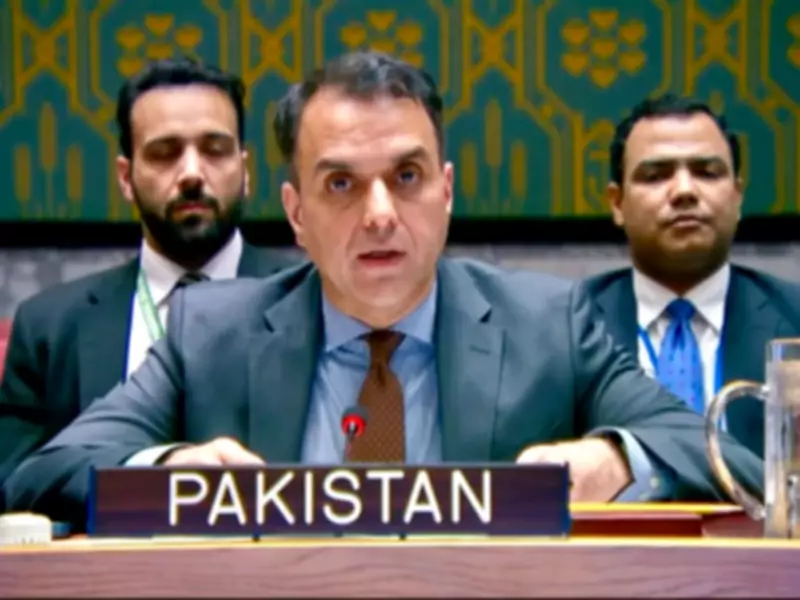 Pakistan Condemns Israeli Aggression in Lebanon at UN Security Council Emergency Meeting