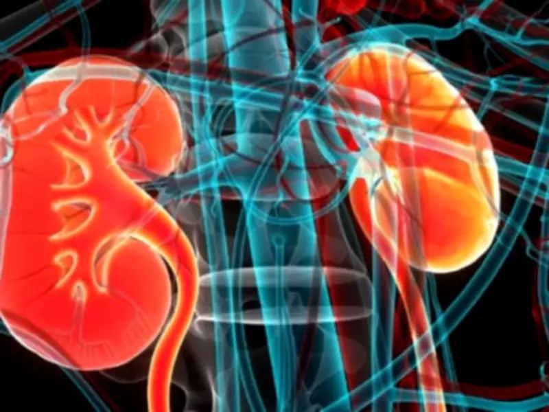 Pakistan's Healthcare System Struggles with Rising Kidney Disease Burden