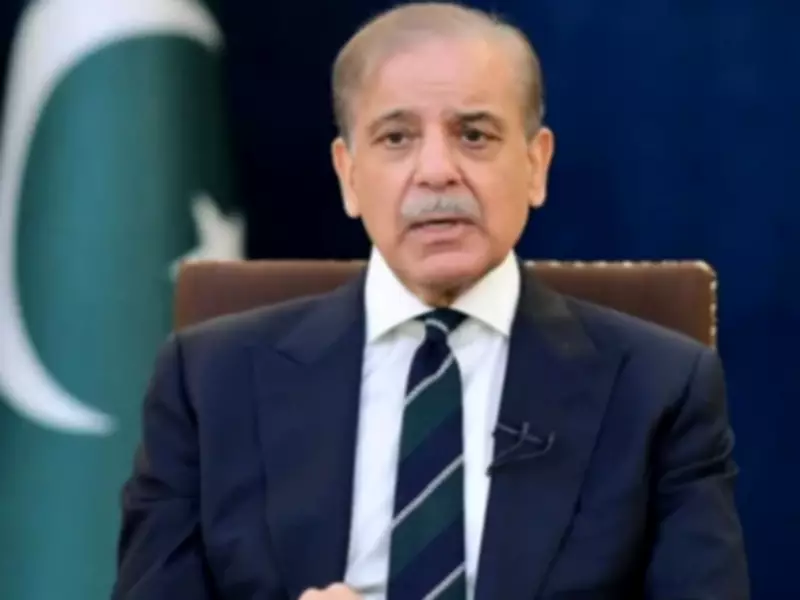 PM Shehbaz Announces No Change in Petroleum Prices Despite Global Market Rise