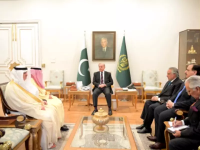 PM Shehbaz Reaffirms Pakistan's Solidarity with Saudi Arabia in Meeting with FM