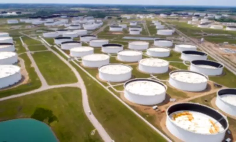 PM Shehbaz Sharif Assures Nation of Ample Petroleum Stocks, Addresses Supply Concerns