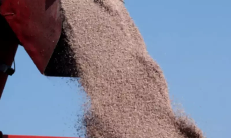 Strait of Hormuz Crisis Threatens Global Food Supply Beyond Oil Prices