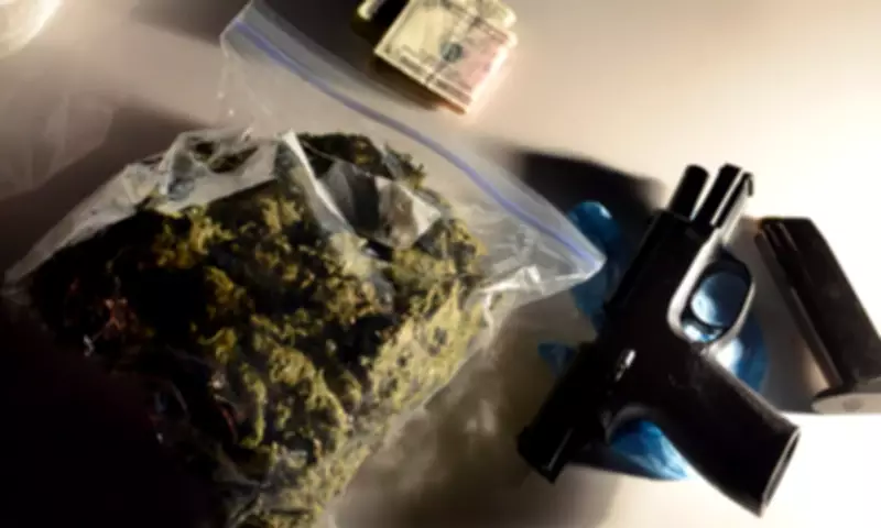 US Supreme Court Leans Toward Allowing Marijuana Users to Own Firearms