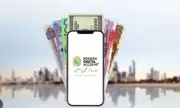 Government Expands Roshan Digital Account Scheme to Boost Remittances