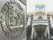 IMF to Establish Tax Benchmarks for Pakistan's FBR in New Bailout Program