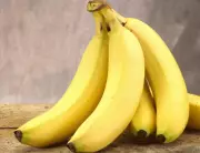 Pakistan Launches Project to Turn Banana Waste into Eco-Friendly Textile Fibre