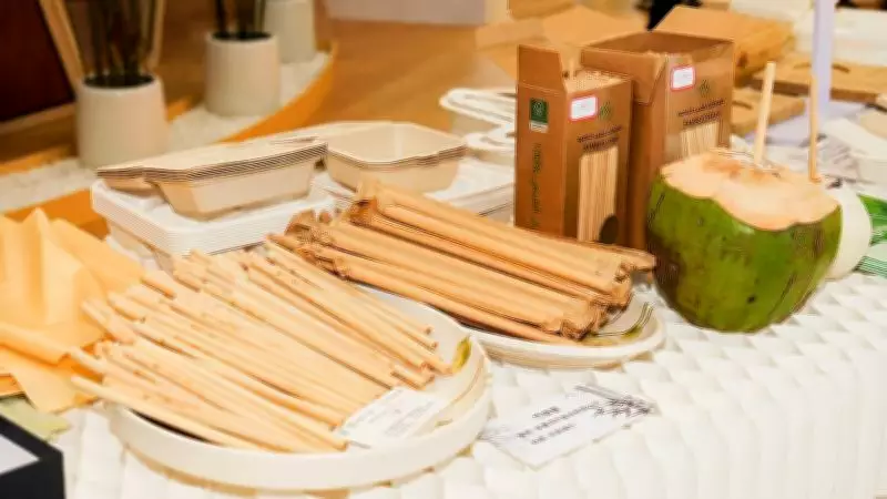 Hainan Expo Showcases China's Experience Economy Redefining Wellness Travel