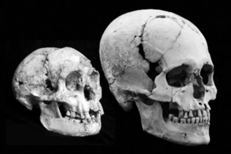 Hobbit Discovery Rewrites Human Evolution Narrative