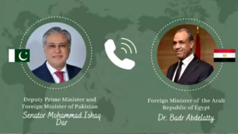 Ishaq Dar Engages Egypt and Uzbekistan for Regional Peace Efforts