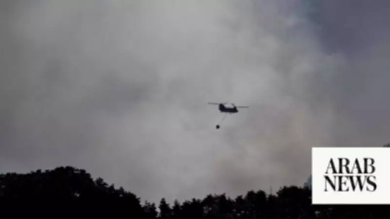 Japan deploys 1,400 firefighters to battle raging wildfires in the north