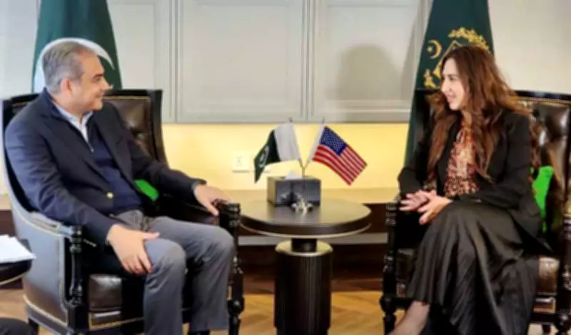 Mohsin Naqvi and US Envoy Discuss Regional Tensions and US-Iran Talks
