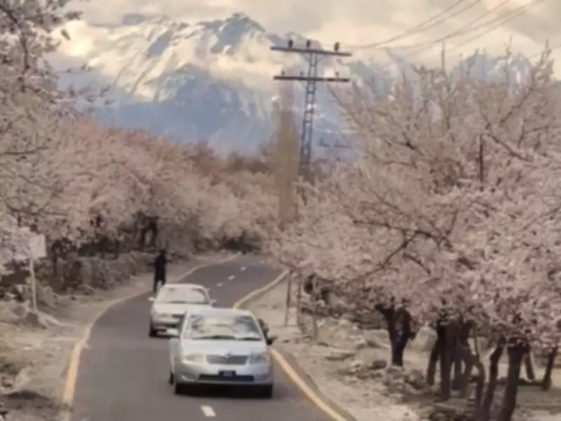 Nature's Soft Revival in High North: A Glimmer of Hope for Pakistan's Northern Ecosystems