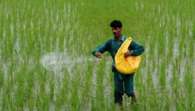 Punjab's Apna Khet Apna Rozgar Program Boosts Agriculture and Economy