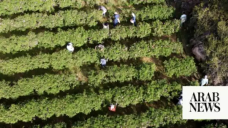 Saudi Arabia's Agricultural Revolution: Transforming Deserts into Sustainable Farms
