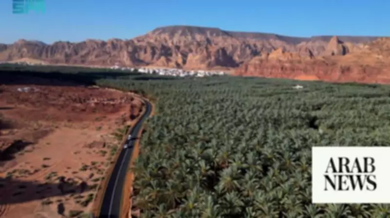 Saudi Date Exports Hit Record $517 Million in 2025