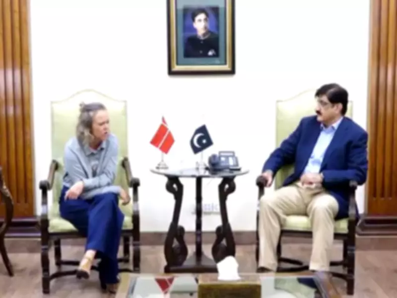 Sindh CM meets Danish envoy, discusses wind energy and investment