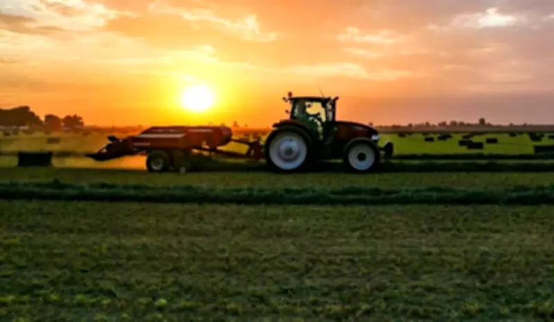 The Silent Crisis: Pakistan's Agricultural Economy Faces Systemic Collapse