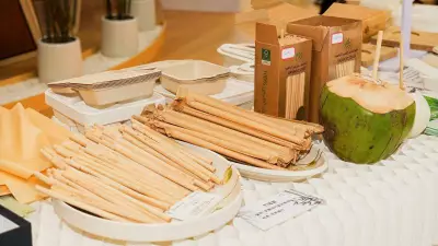 Hainan Expo Showcases China's Experience Economy Redefining Wellness Travel