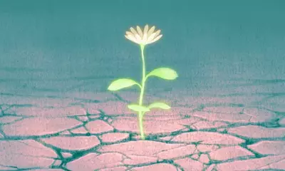 Hope vs. Optimism: A Psychological Guide to Navigating Life's Challenges