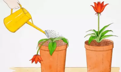 Overcoming the Fear of Being a Burden to Effectively Ask for Help