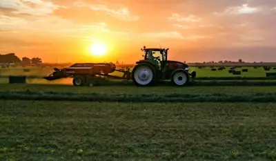 The Silent Crisis: Pakistan's Agricultural Economy Faces Systemic Collapse